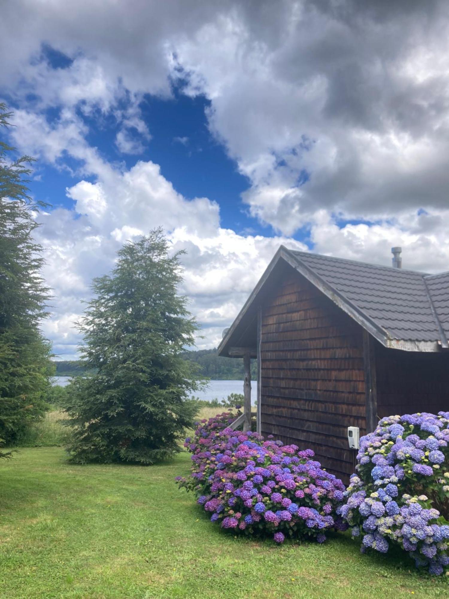 Antuquelen Lodge Cabanas Frutillar Dış mekan fotoğraf